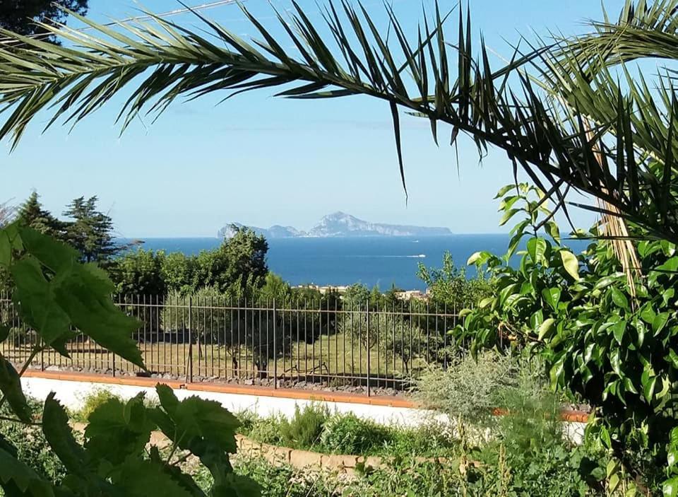 Villa Mazza al Vesuvio Torre del Greco Esterno foto